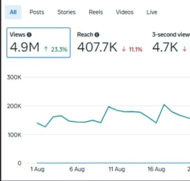 Bottom Result Image 1