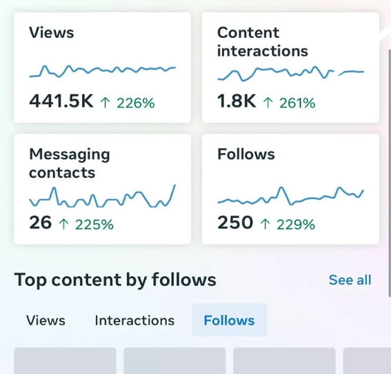 Bottom Result Image 1